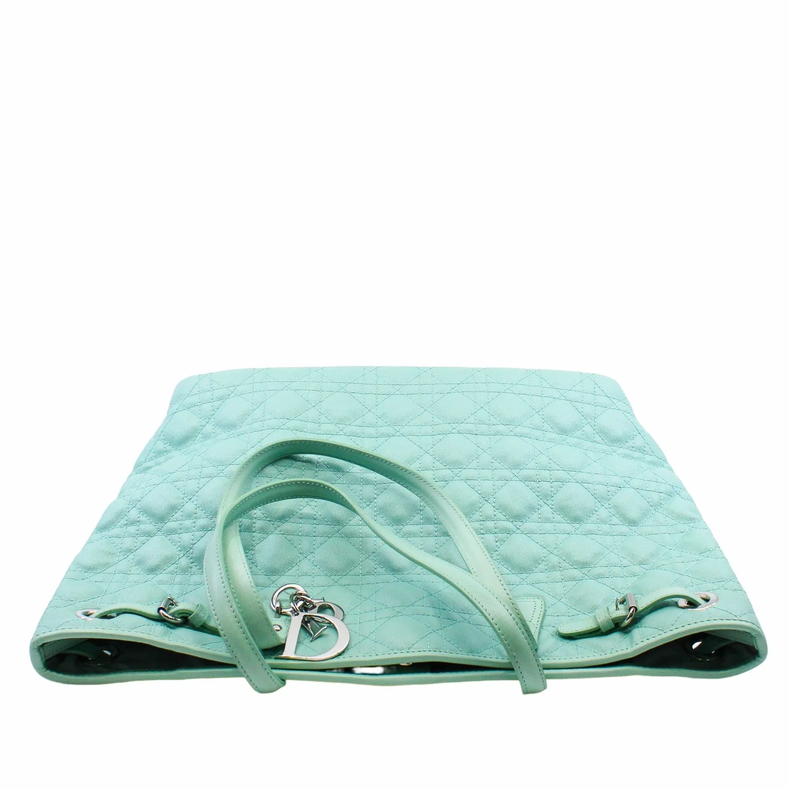 tote medium canvas light green phw