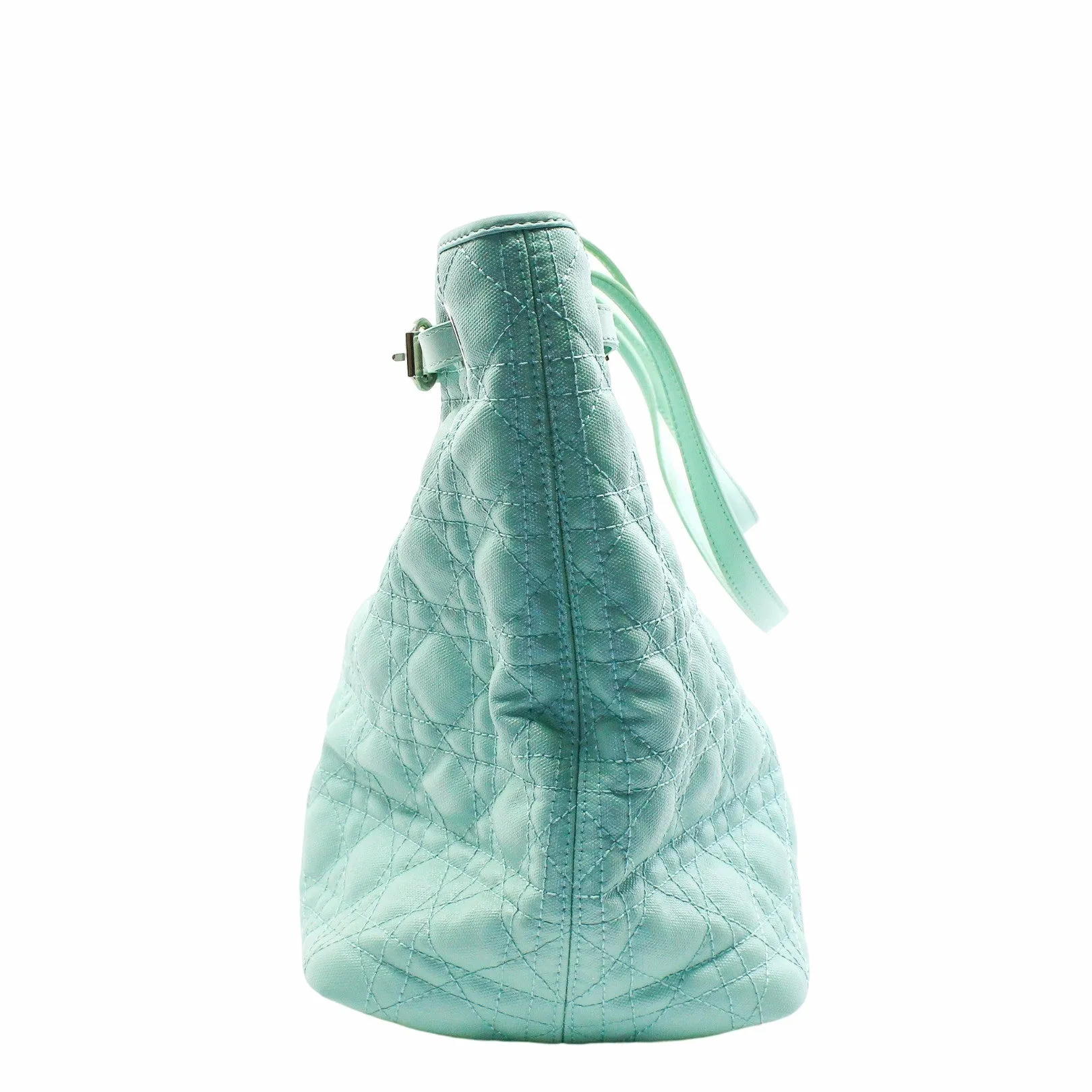 tote medium canvas light green phw