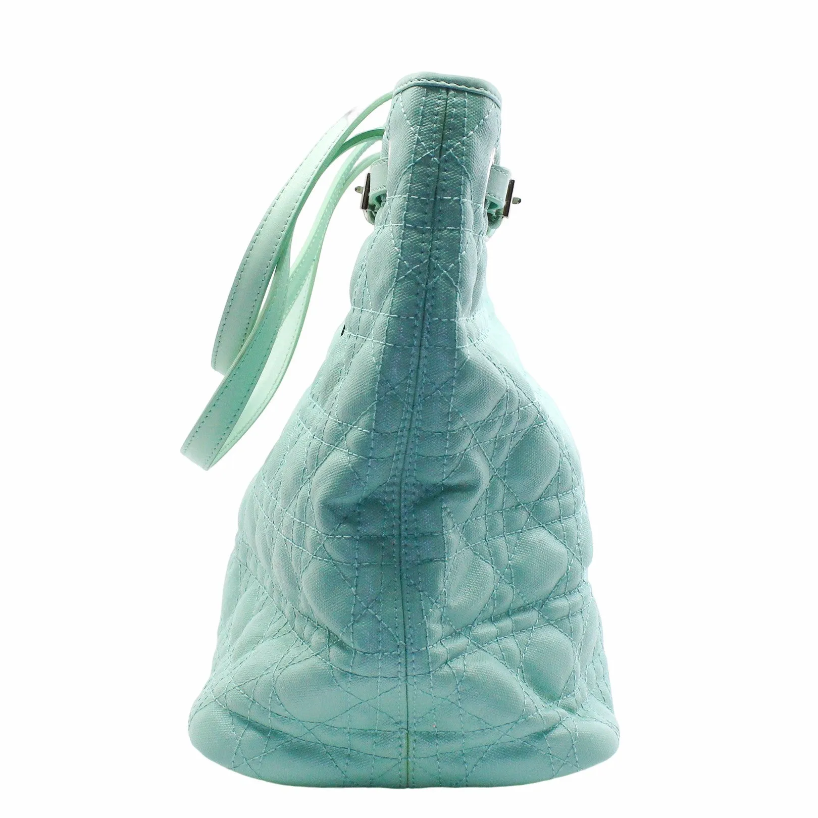 tote medium canvas light green phw