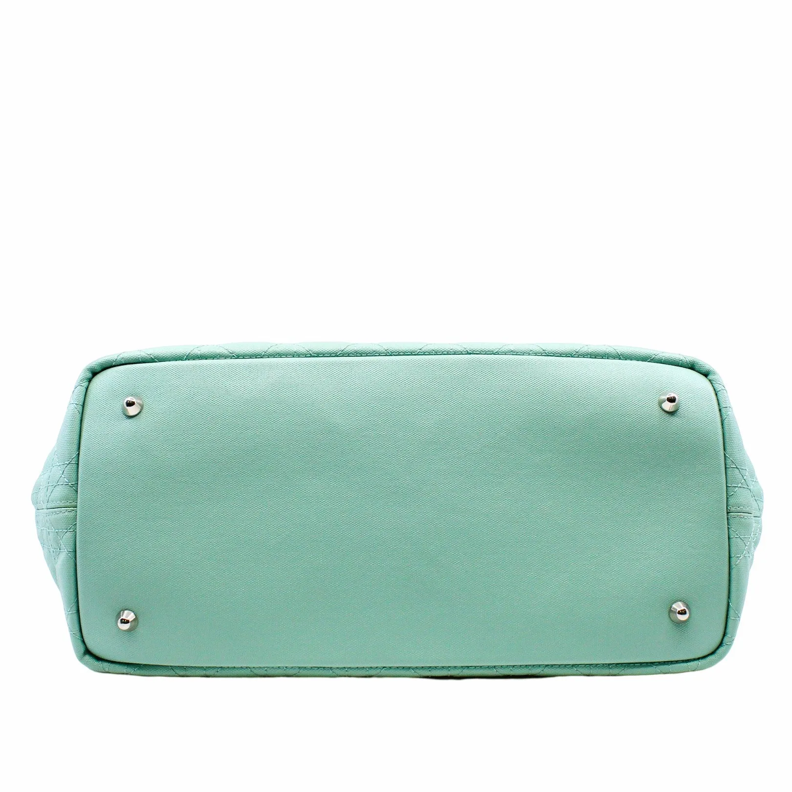 tote medium canvas light green phw