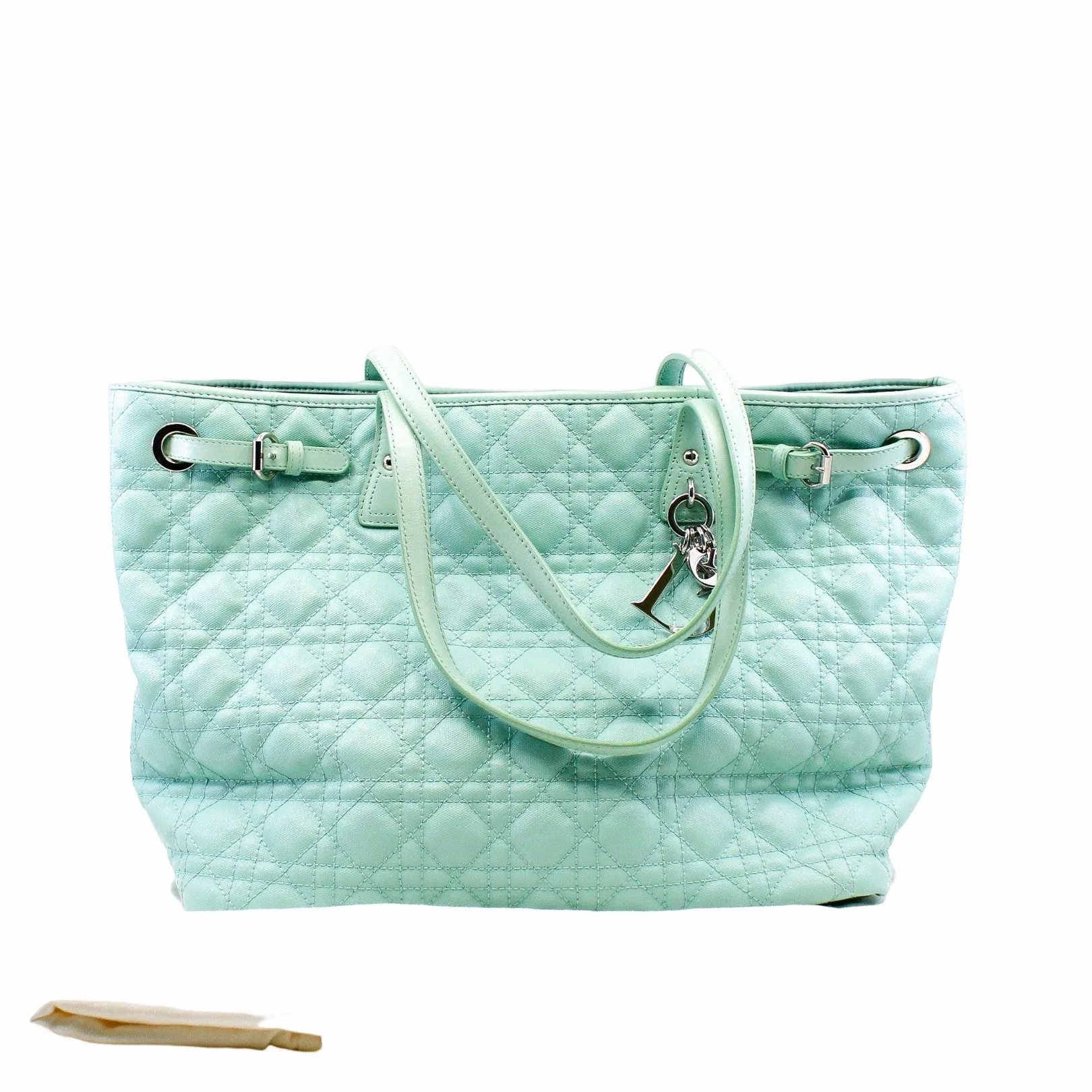 tote medium canvas light green phw